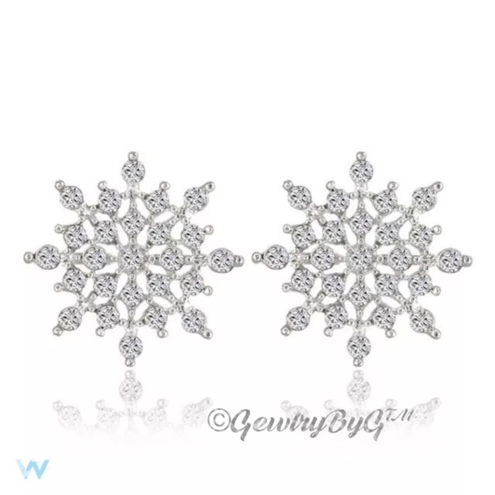 ❄️Let it Snow! Snowflake Crystal Studs.