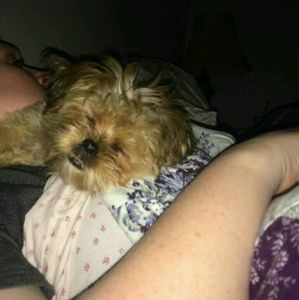 Meet your Posher, Tina