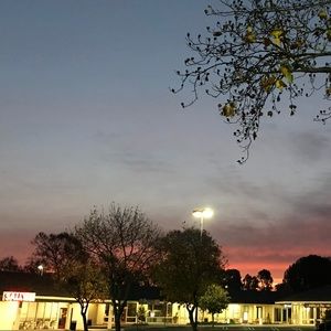 Meet your Posher, Jess