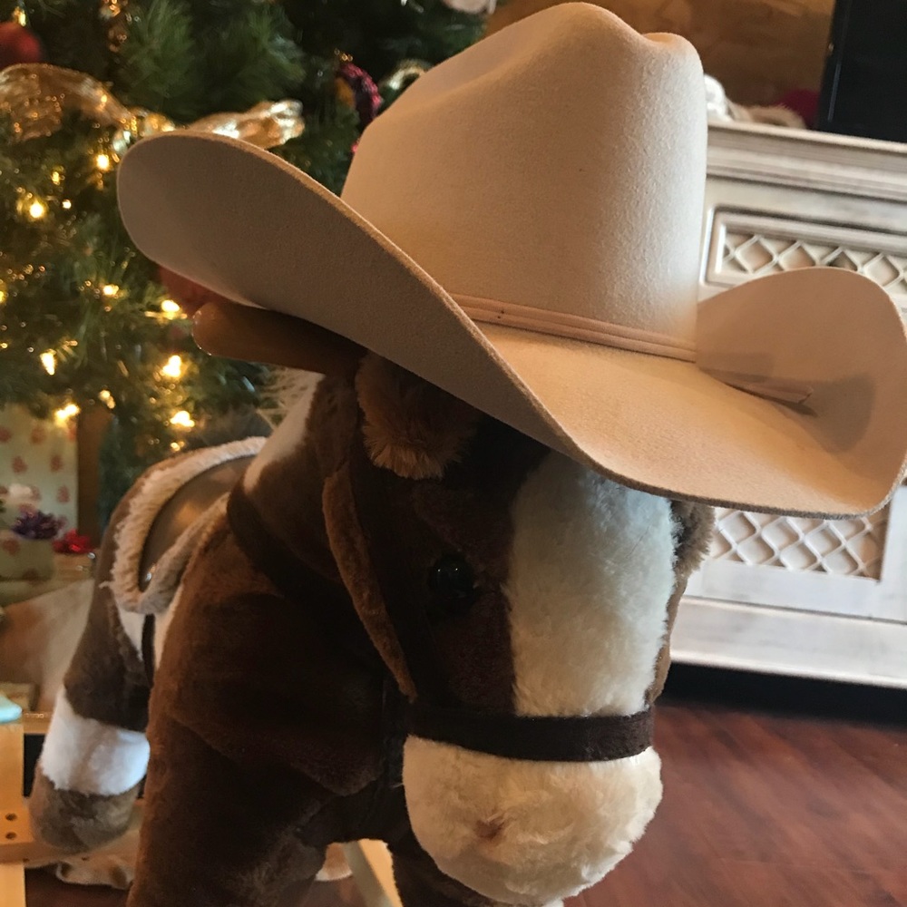 SOLD: Bailey Colt Silverbelly Kids Felt Cowboy Hat