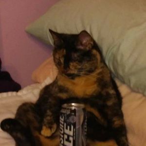 Meet your Posher, Paula