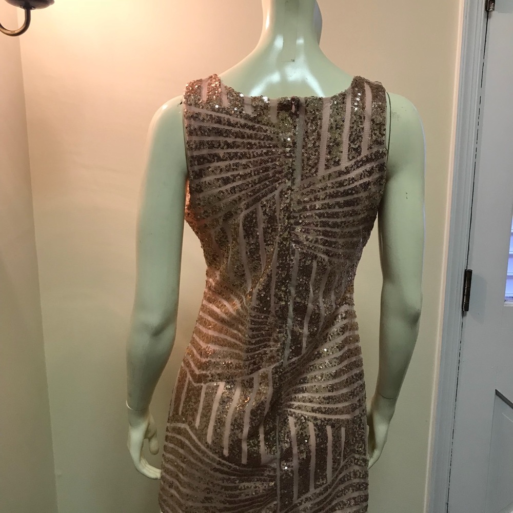 IV Rose Sequin Dress - Picture 2 of 2