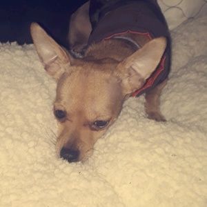 Meet your Posher, Kyle