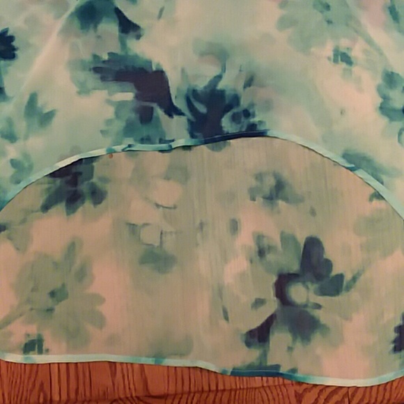 🐝SheerTank  top🐝 - Picture 3 of 4