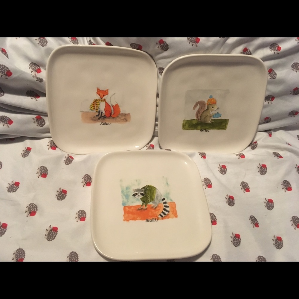 New set Rae Dunn scarves mittens & sweaters plates