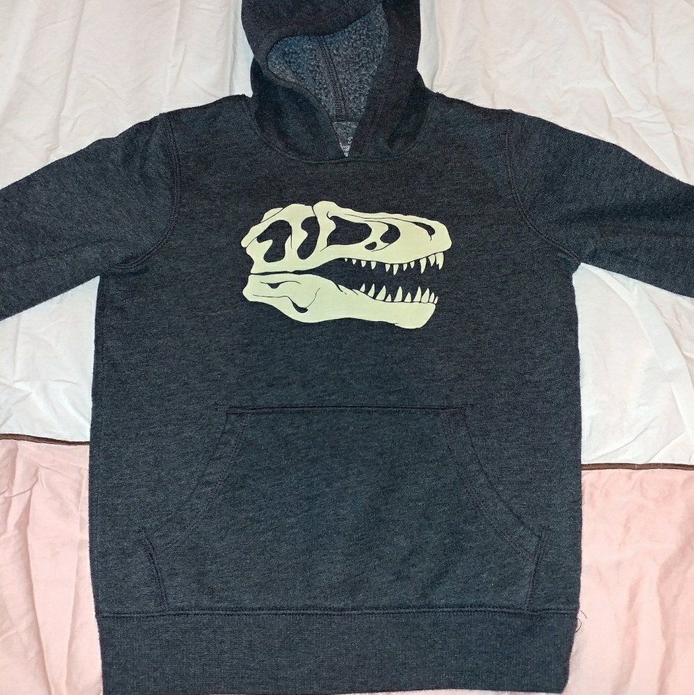 Dinosaur glow in the dark sweatshirt 7