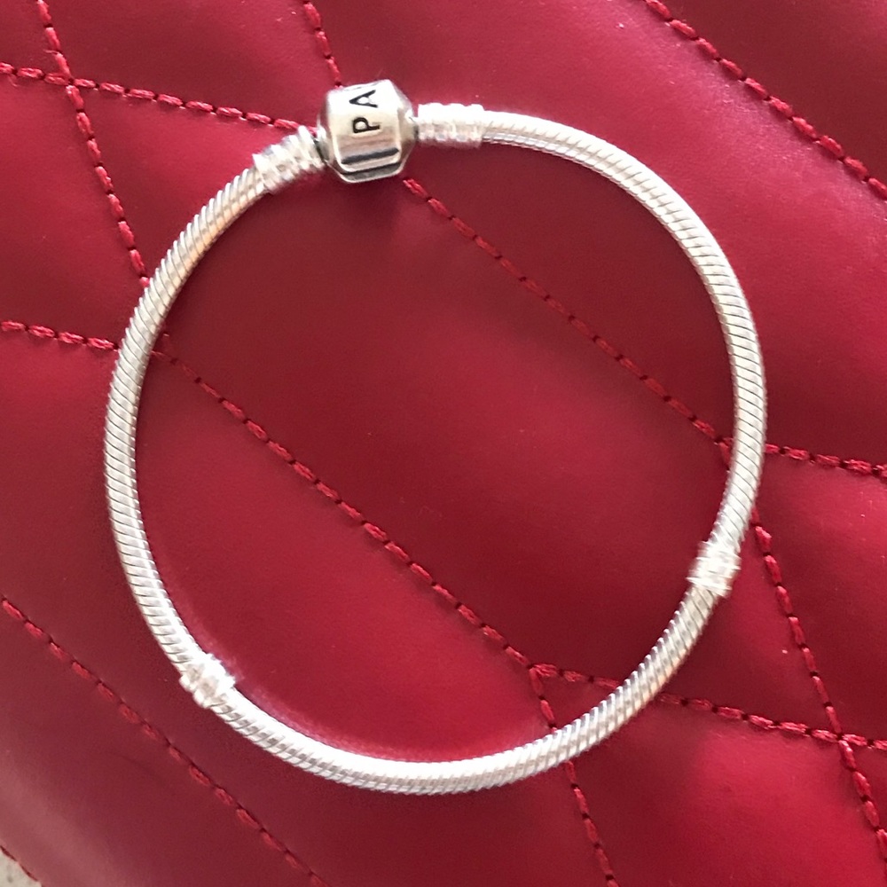 Pandora Bracelet