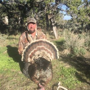 Meet your Posher, Brad