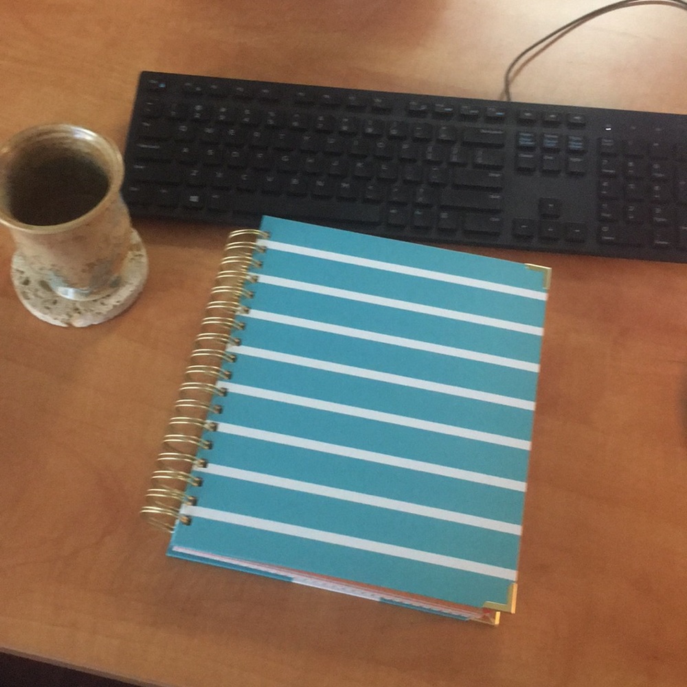 Living Well Planner (Brand New)