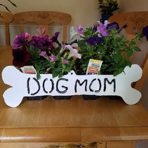 Meet your Posher, Kim