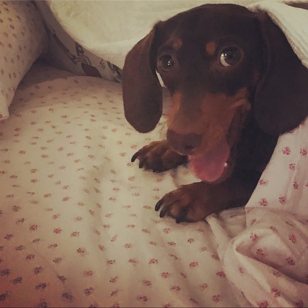 Meet your Posher, Kim