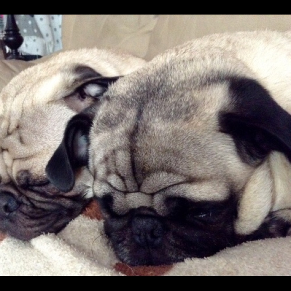 Meet your Posher, Karen