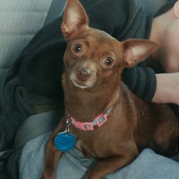 Meet your Posher, Michelle - Picture 1 of 1