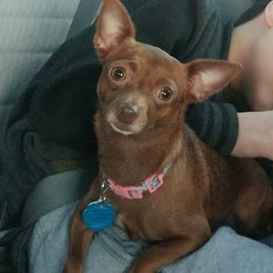 Meet your Posher, Michelle