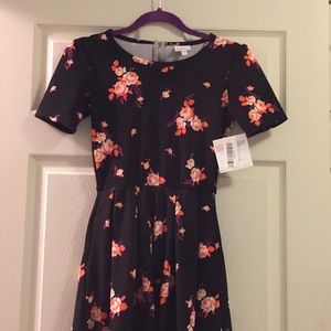NWT Amelia Dress