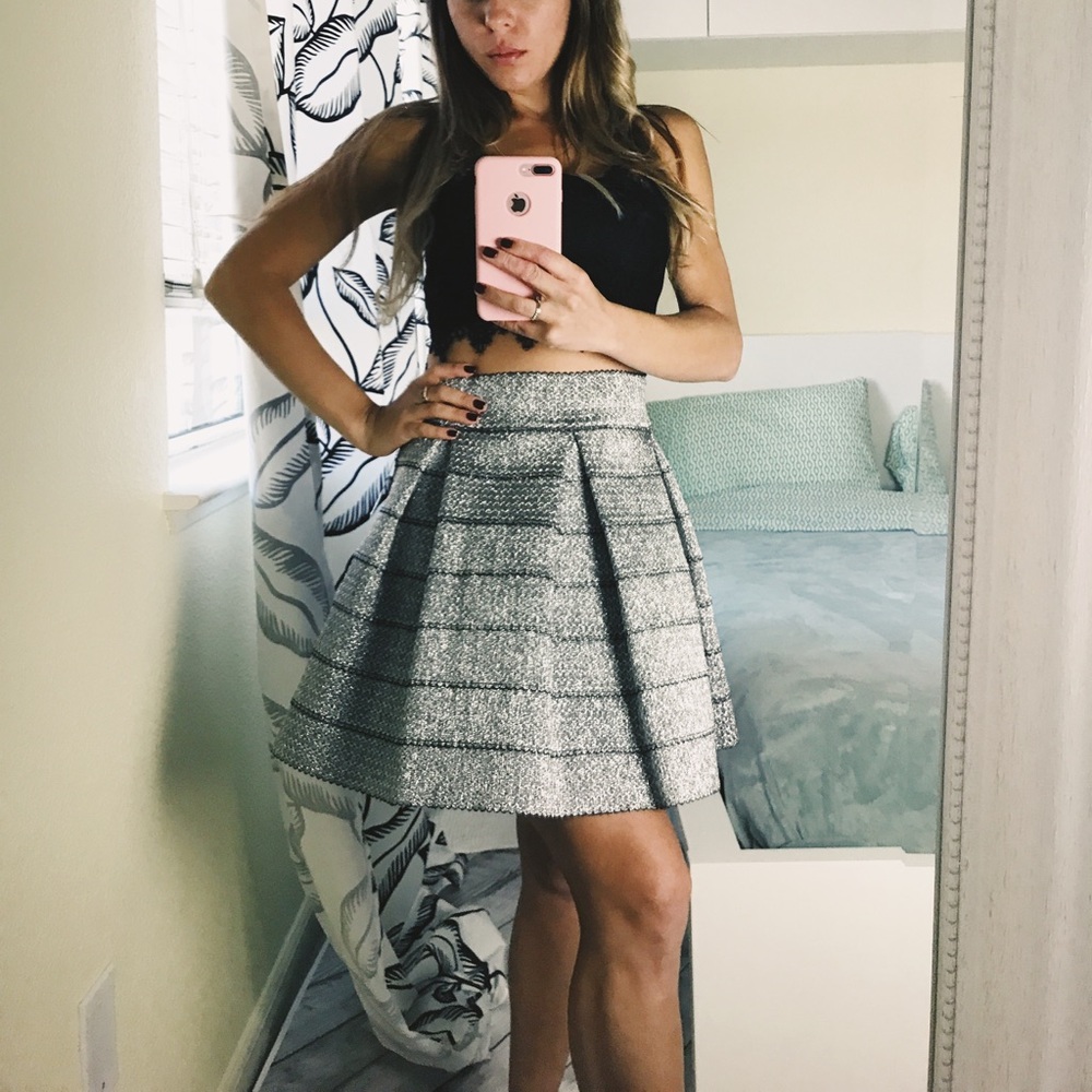 Silver Skirt