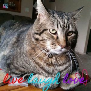 Meet your Posher, Wendy