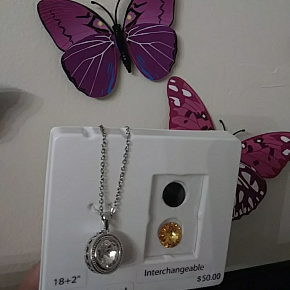 Fine Silver Interchangeable necklace