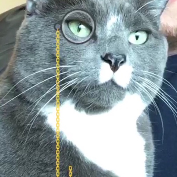 Meet your Posher, Megan - Picture 1 of 1