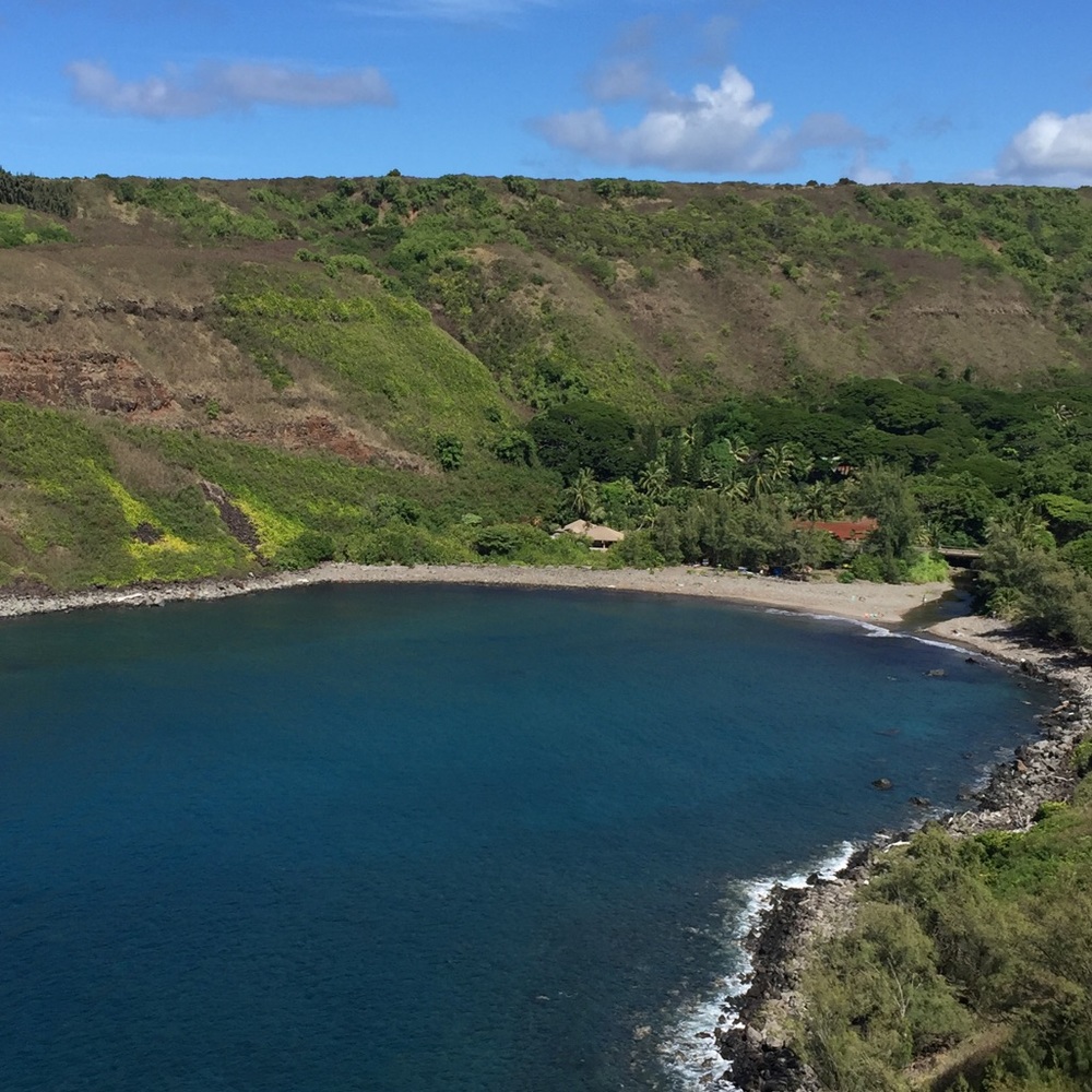 Meet your Posher, Jackson