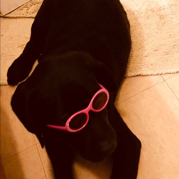 Meet your Posher, Tamara - Picture 1 of 1