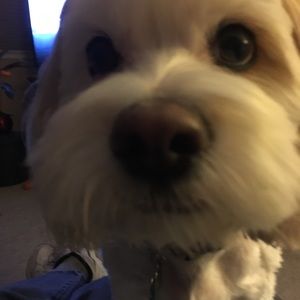 Meet your Posher, Raymond