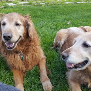 Meet your Posher, Jodi