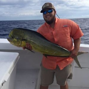 Meet your Posher, Drew