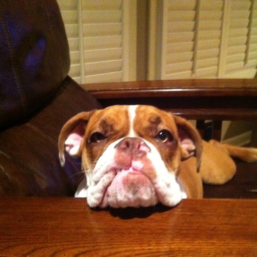 Meet your Posher, Jennifer