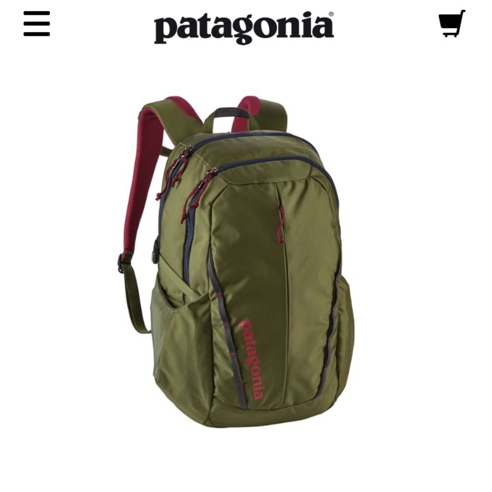 Patagonia Backpack