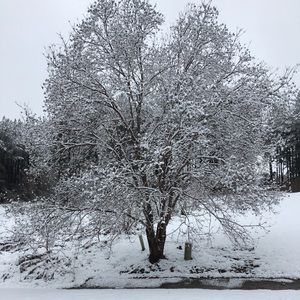 Meet your Posher, Kelli