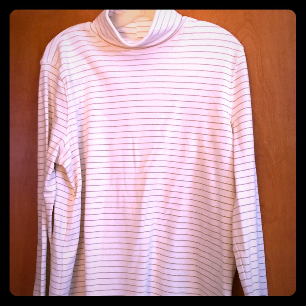 Women’s Glitter striped turtleneck