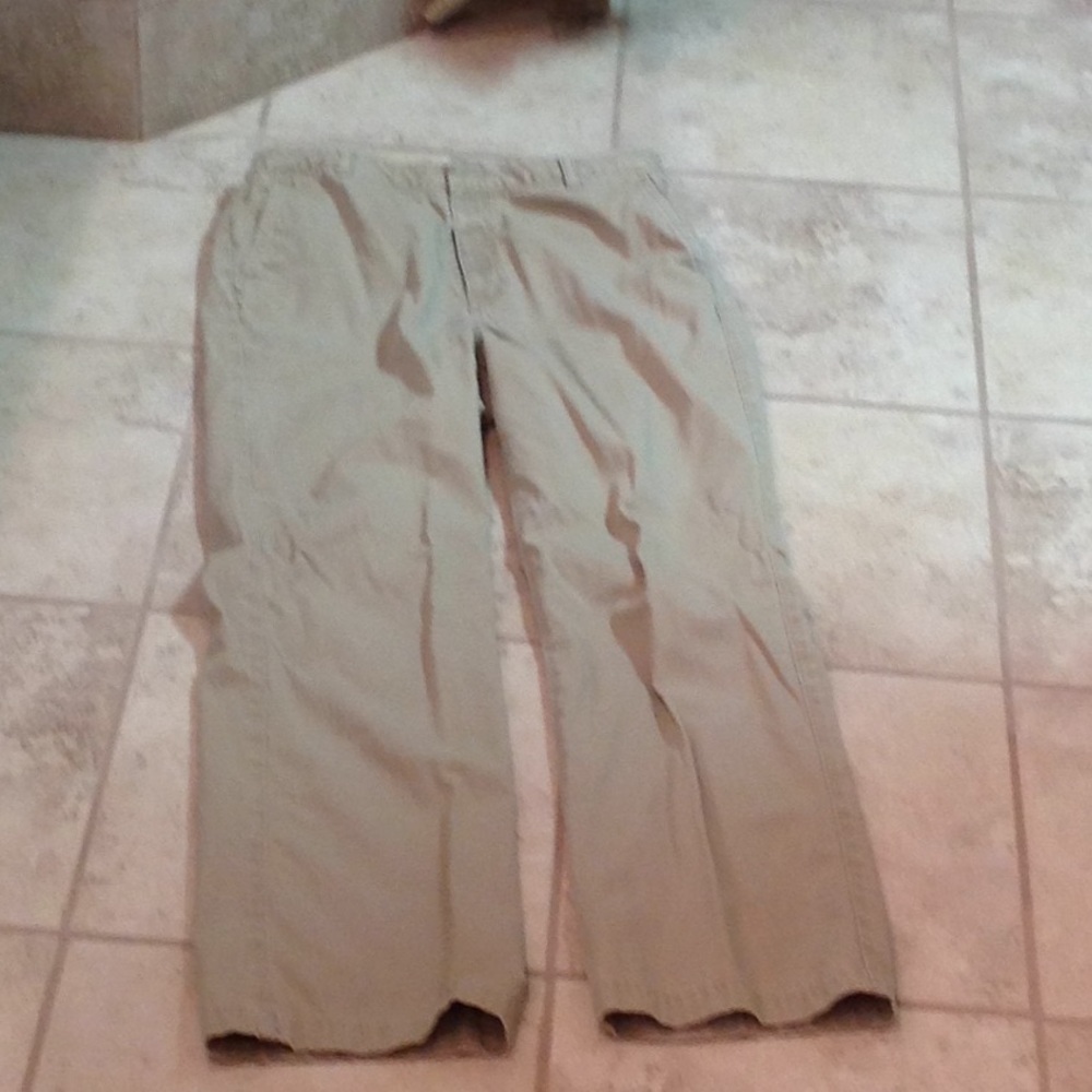 The Limited pants