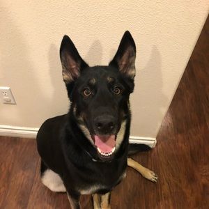 Meet your Posher, Lilly