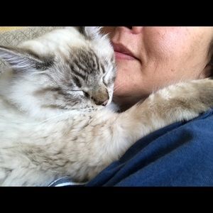 Meet your Posher, Anne