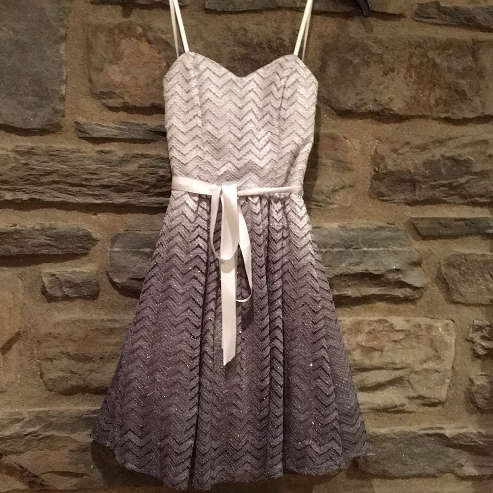 Windsor Sparkly Grey Ombré Formal Dress (3/4)