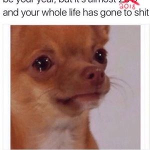 Meet your Posher, Dashanna