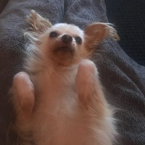 Meet your Posher, Jack