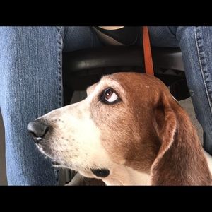 Meet your Posher, Norma