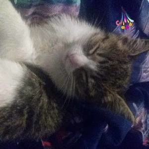 Meet your Posher, Ruby