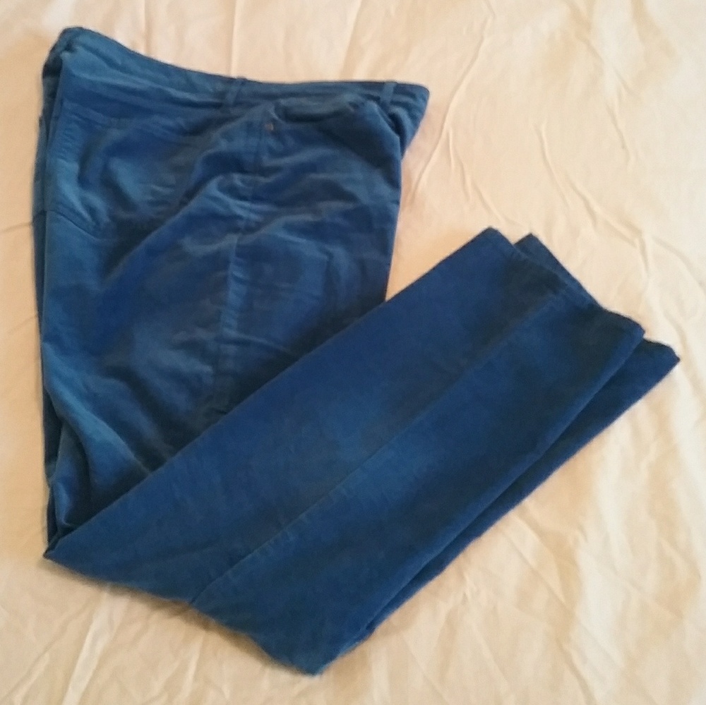 Slim Velvet Ankle Pants and top in Magestic Blue