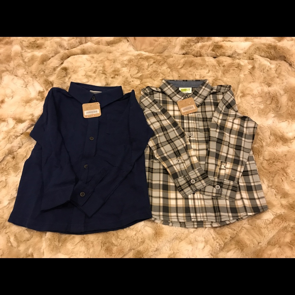 2 dress shirt  from crazy 8 - 3T