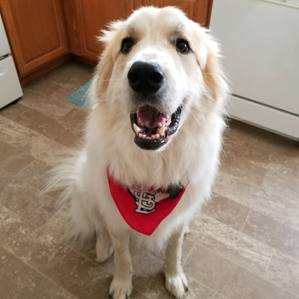 Meet your Posher, Katherine