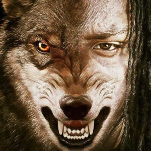 Meet your Posher, Vincent