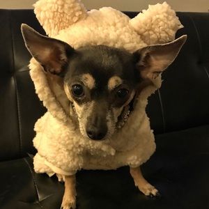 Meet your Posher, Claudia