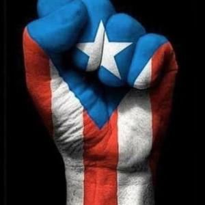 Meet your Posher, Rosa