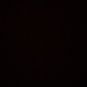 Meet your Posher, Kylee