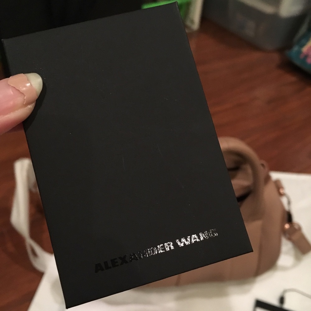 😇SOLD😇 Alexander Wang Mini Rocco - Picture 2 of 8