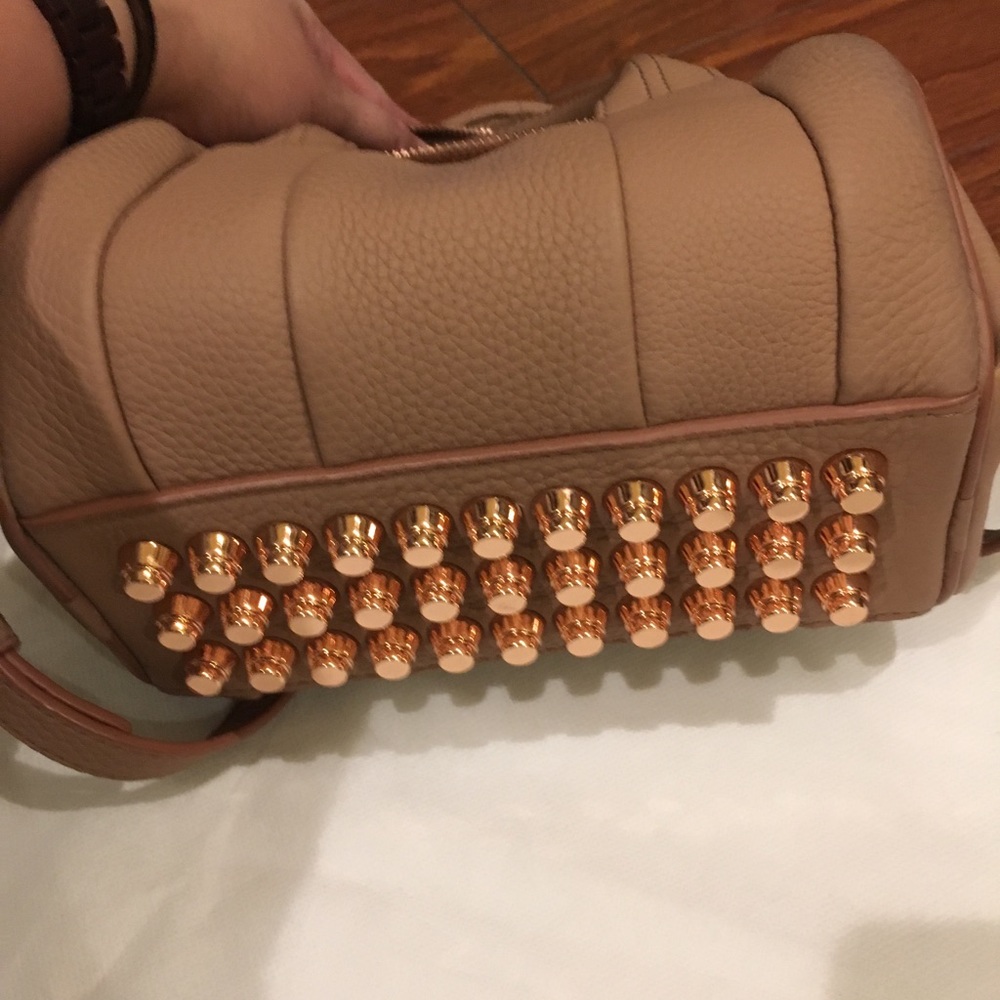 😇SOLD😇 Alexander Wang Mini Rocco - Picture 4 of 8