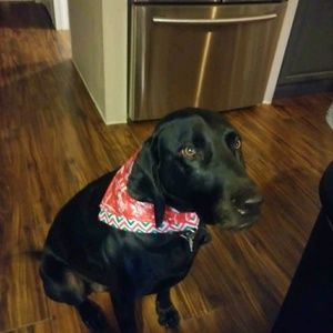 Meet your Posher, Rhonda